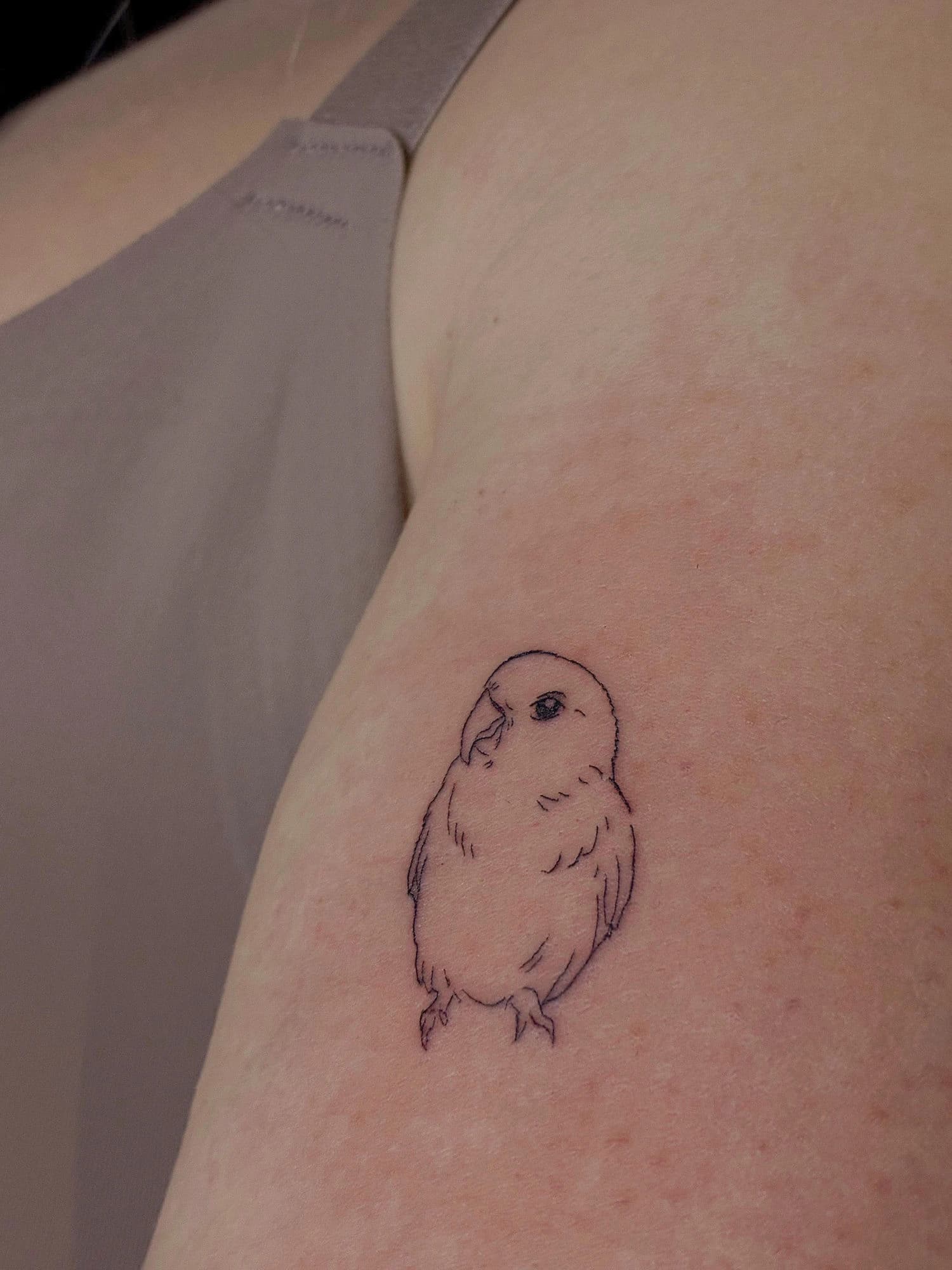 Tatuaje pájaro línea fina en hombro